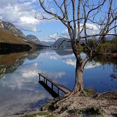 Boutique House Vresje Villa Bohinjska Bistrica Eksteriør bilde